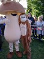 foire aux champignons (6)